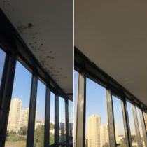 Удалили плесень на потолке балкона, работа заняла 1,5 часа